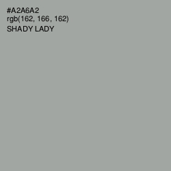 #A2A6A2 - Shady Lady Color Image